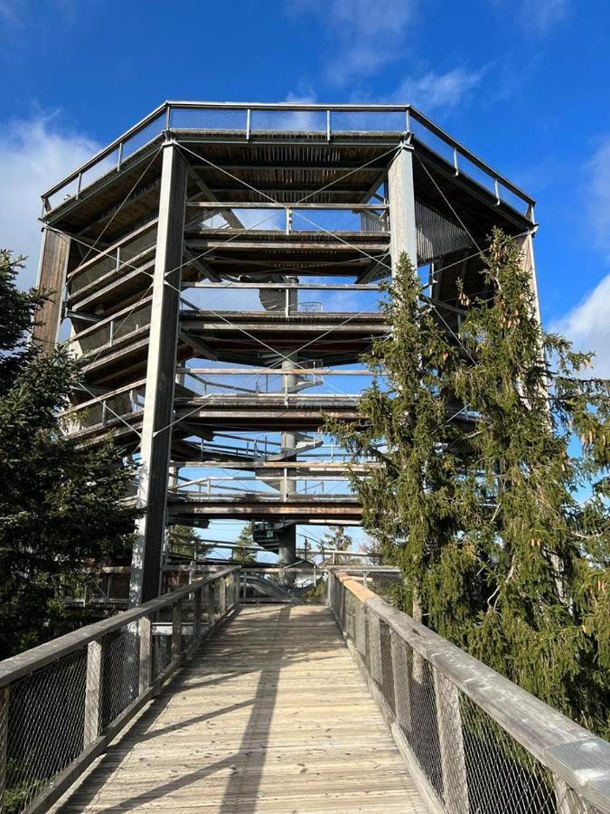 Apartament A121 Molo Lipno S Infrasaunou - Residence Koubek Lipno nad Vltavou Zewnętrze zdjęcie